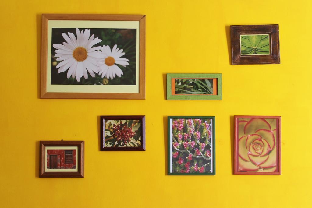 Casa La Ranita Bed & Breakfast Los Silos Dış mekan fotoğraf